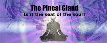 MYSTERY OF THE PINEAL GLAND