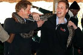 Prince William Refuses The Throne