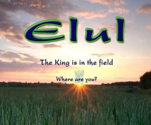 Month of Elul & the Tabernacle MP3
