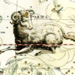 Aries Lamb
